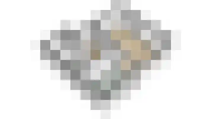 Kolonel Blondeelweg 8 Vlagtwedde thumbnail 40