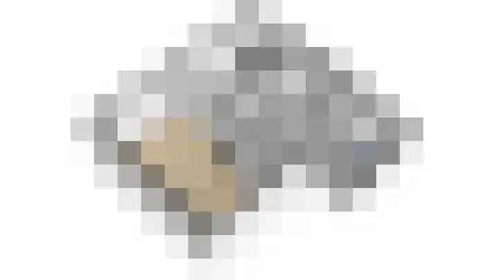 Kolonel Blondeelweg 8 Vlagtwedde thumbnail 41