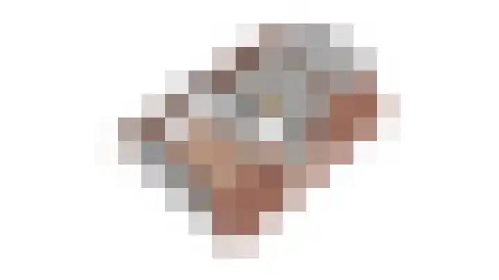 Kolonel Blondeelweg 8 Vlagtwedde thumbnail 44