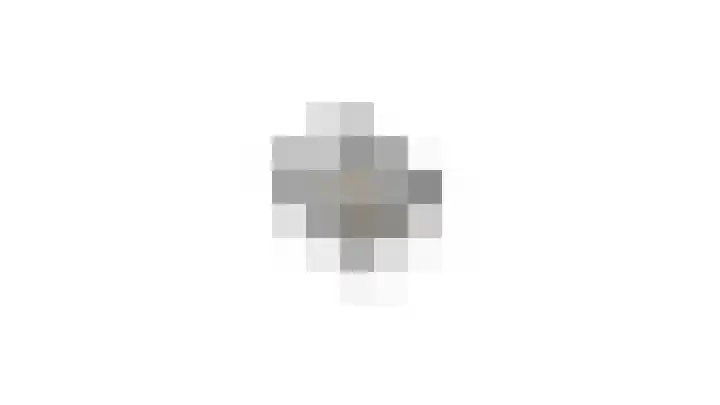 Kolonel Blondeelweg 8 Vlagtwedde thumbnail 46