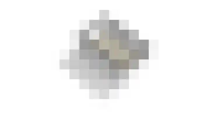 Kolonel Blondeelweg 8 Vlagtwedde thumbnail 49