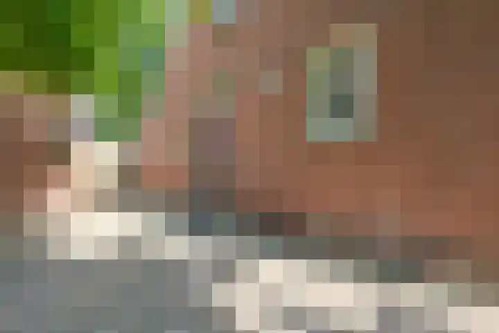 Kolonel Blondeelweg 8 Vlagtwedde thumbnail 5