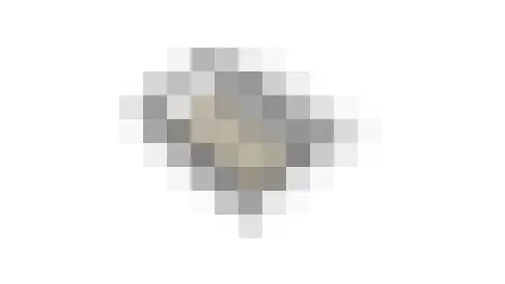 Kolonel Blondeelweg 8 Vlagtwedde thumbnail 50