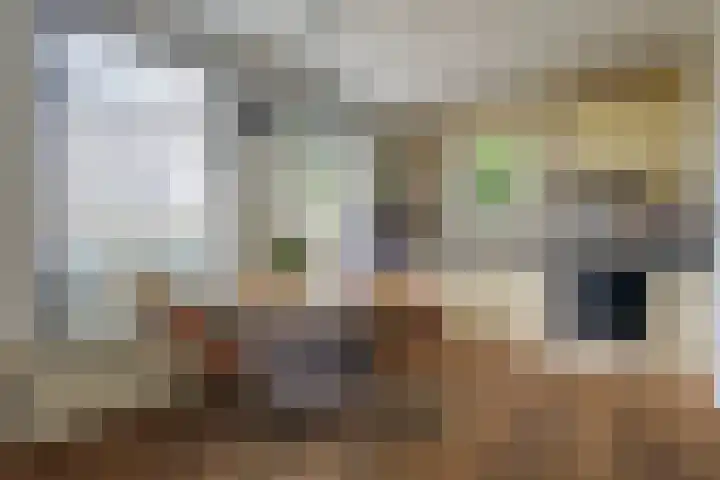 Kolonel Blondeelweg 8 Vlagtwedde thumbnail 8