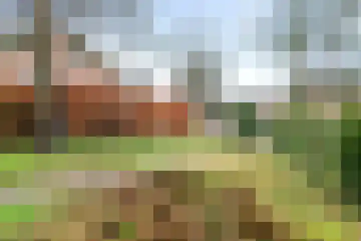 Kolonel Clarklaan 12 Aerdenhout thumbnail 40