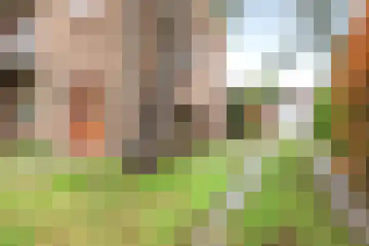 Kolonel Clarklaan 12 Aerdenhout thumbnail 41