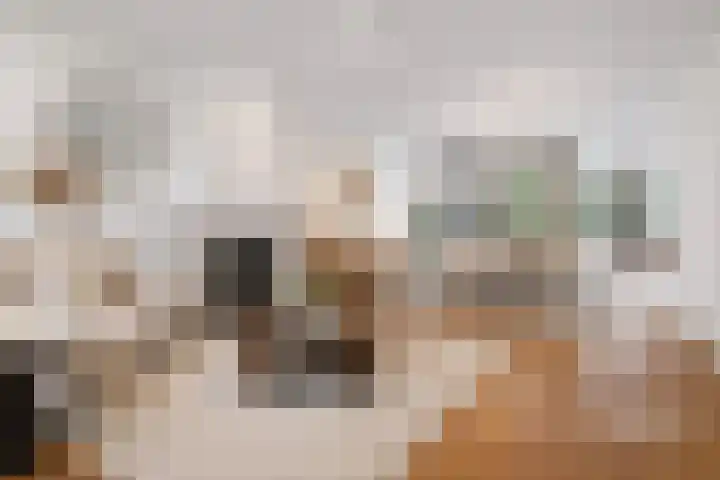 Kolonel Clarklaan 12 Aerdenhout thumbnail 7