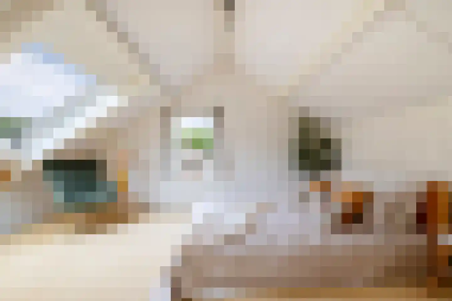 Kolonel Clarklaan 3 Aerdenhout thumbnail 31