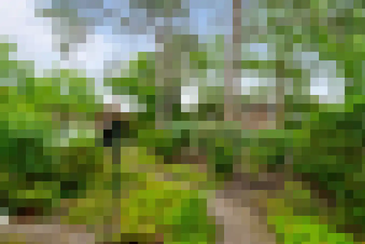 Kolonel Clarklaan 3 Aerdenhout thumbnail 36