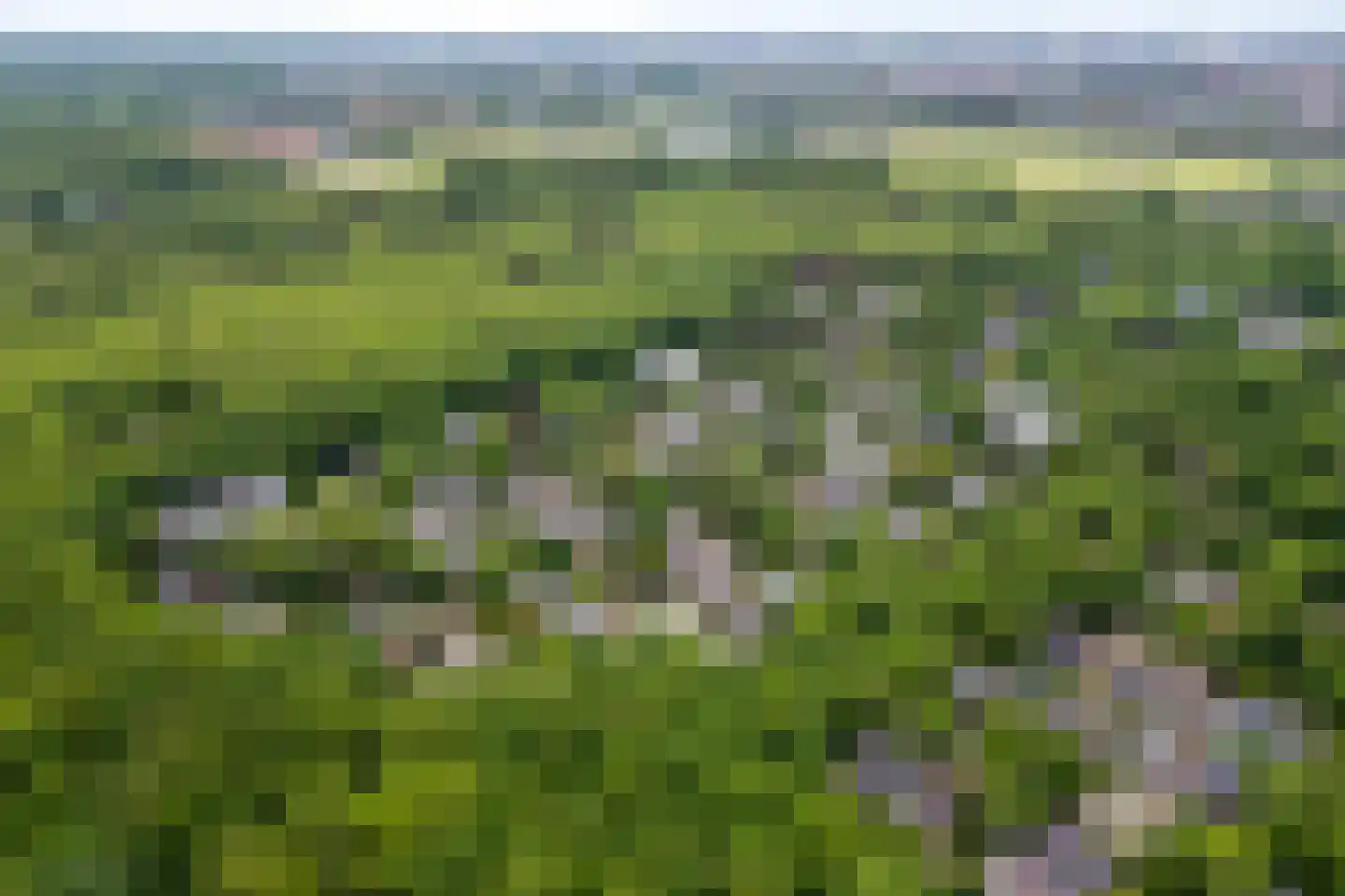 Kolonel Clarklaan 3 Aerdenhout thumbnail 40