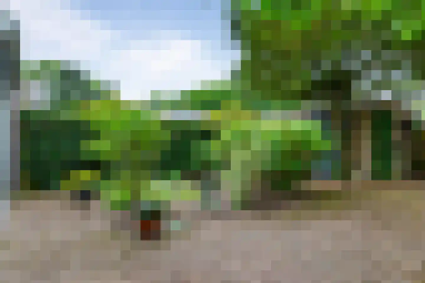 Kolonel Clarklaan 3 Aerdenhout thumbnail 9