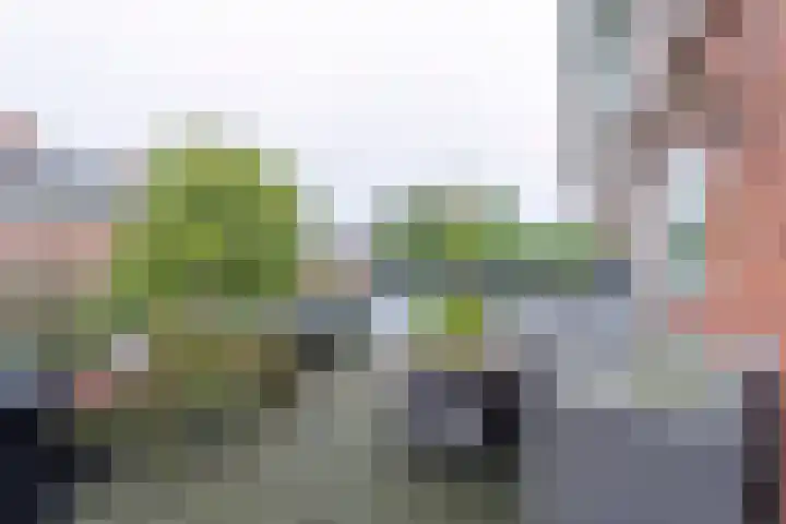 Kolonel Michaëlstraat 85 Naarden thumbnail 38