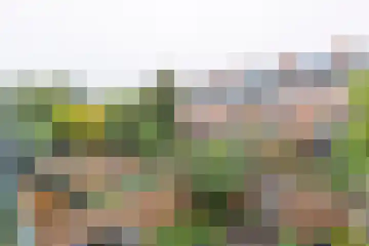 Kolonel Michaëlstraat 85 Naarden thumbnail 39