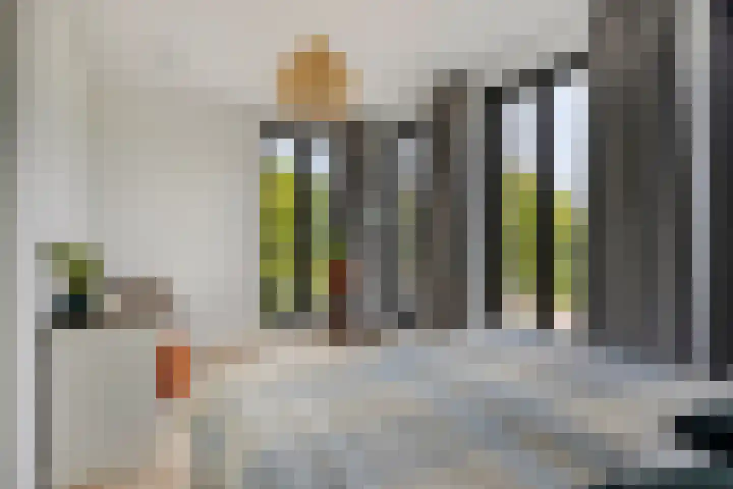 Kolonel Millerstraat 100 Maastricht thumbnail 13