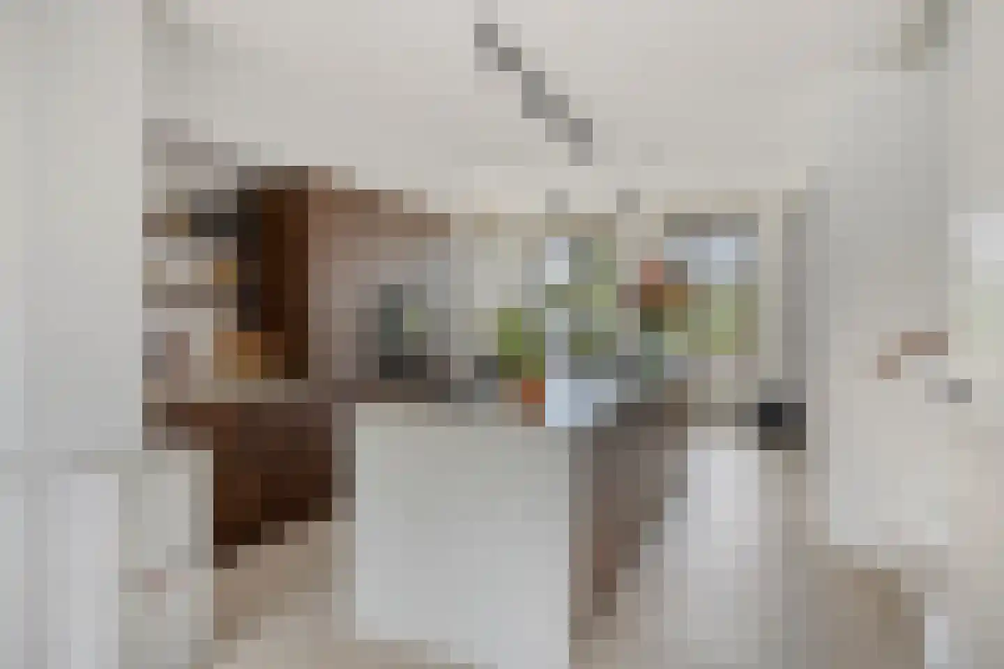 Kolonel Millerstraat 100 Maastricht thumbnail 8