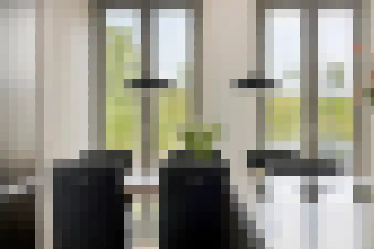 Kolonel Millerstraat 100 Maastricht thumbnail 9