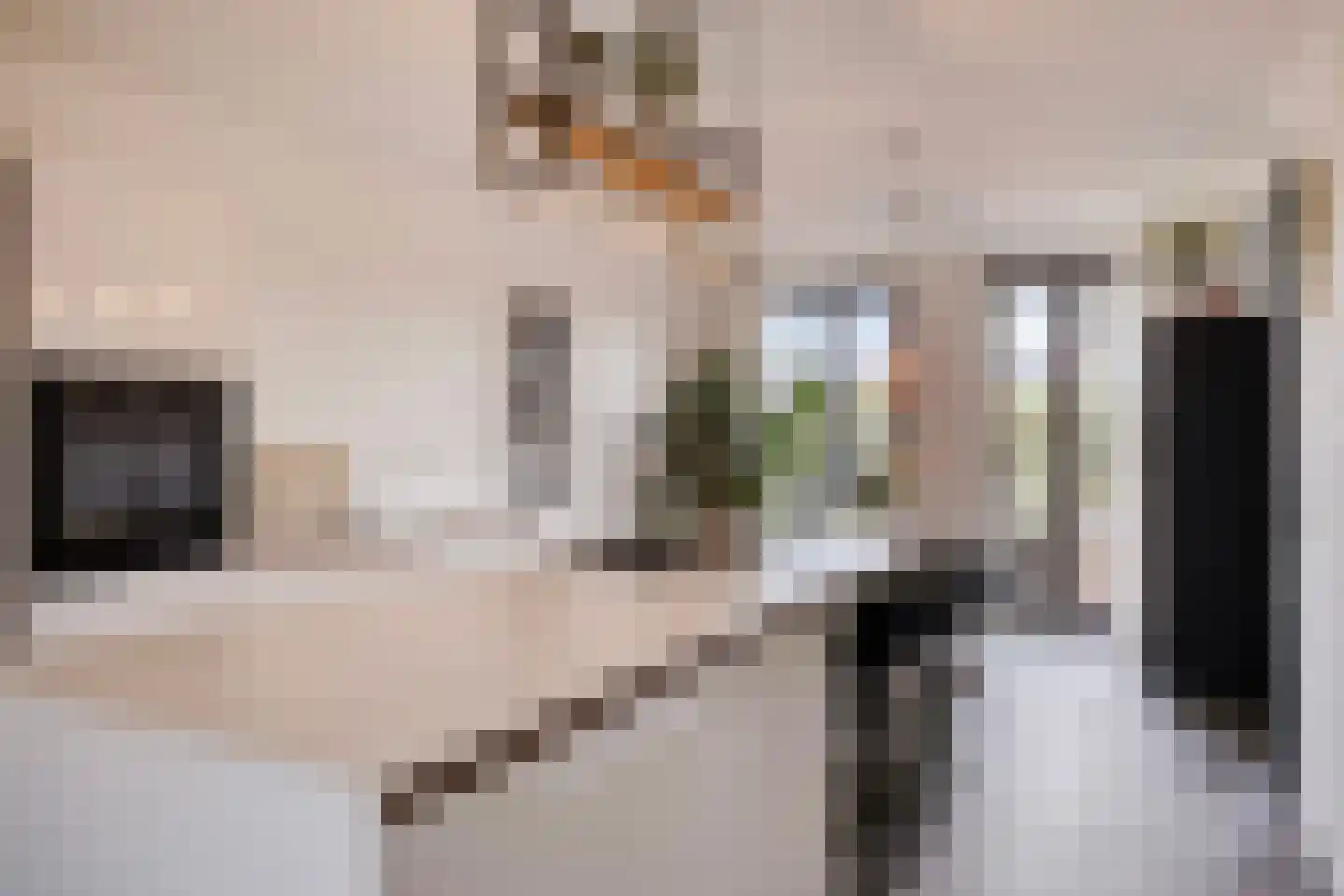 Kolonel Millerstraat 108 Maastricht thumbnail 18