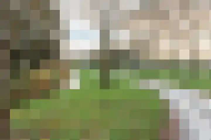 Kolonel Palmstraat 16 B Naarden thumbnail 37