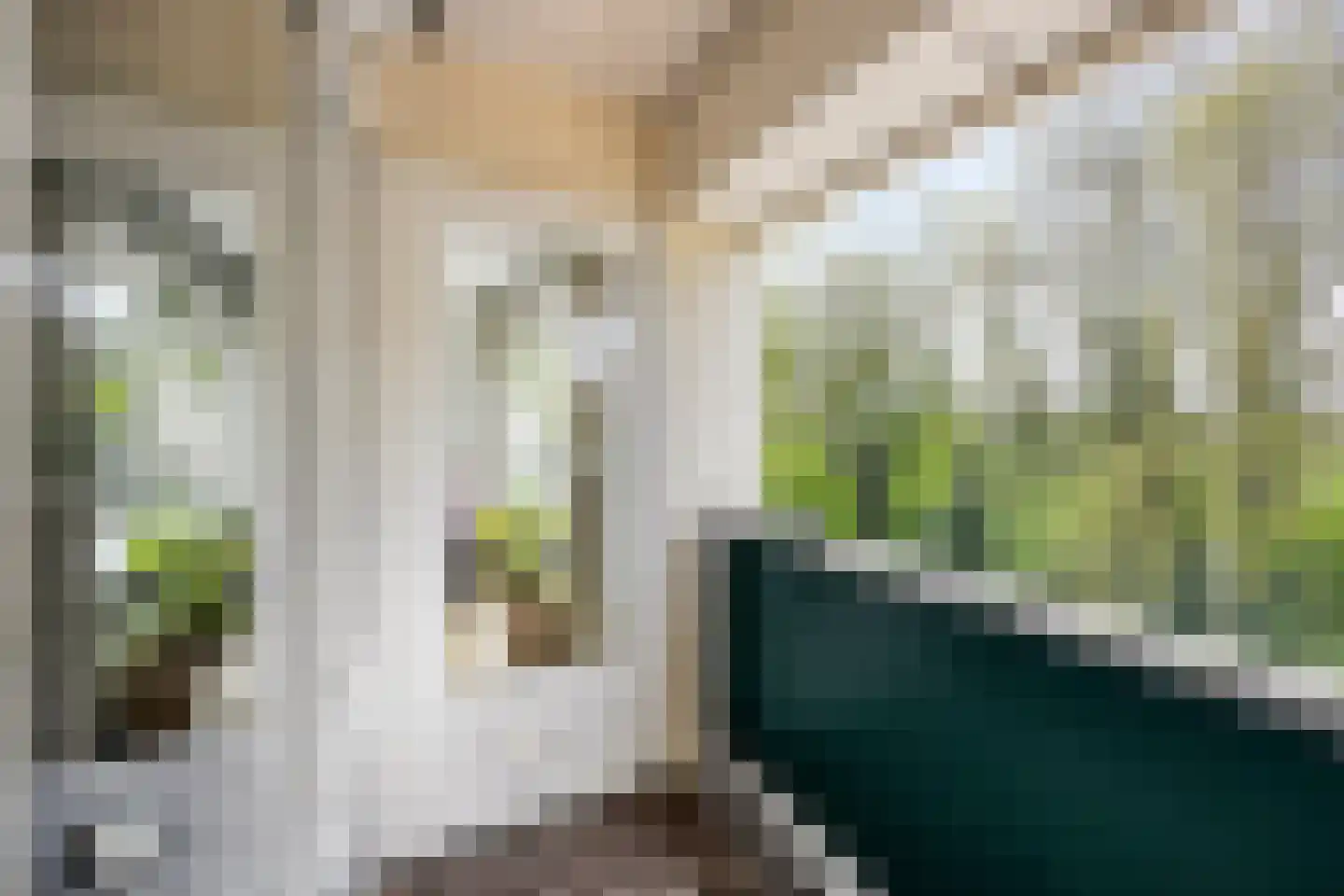 Kolonel Palmstraat 18 A Naarden thumbnail 13