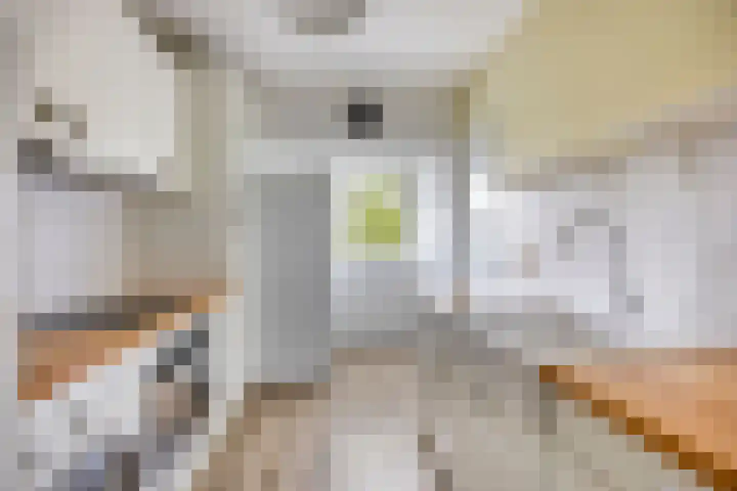 Kolonel Palmstraat 18 A Naarden thumbnail 8