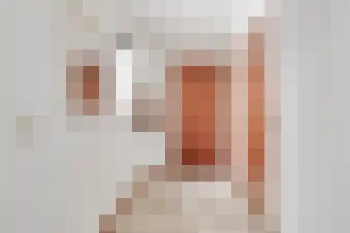 Kolonel Silvertoplaan 2 A Sint Anthonis thumbnail 14