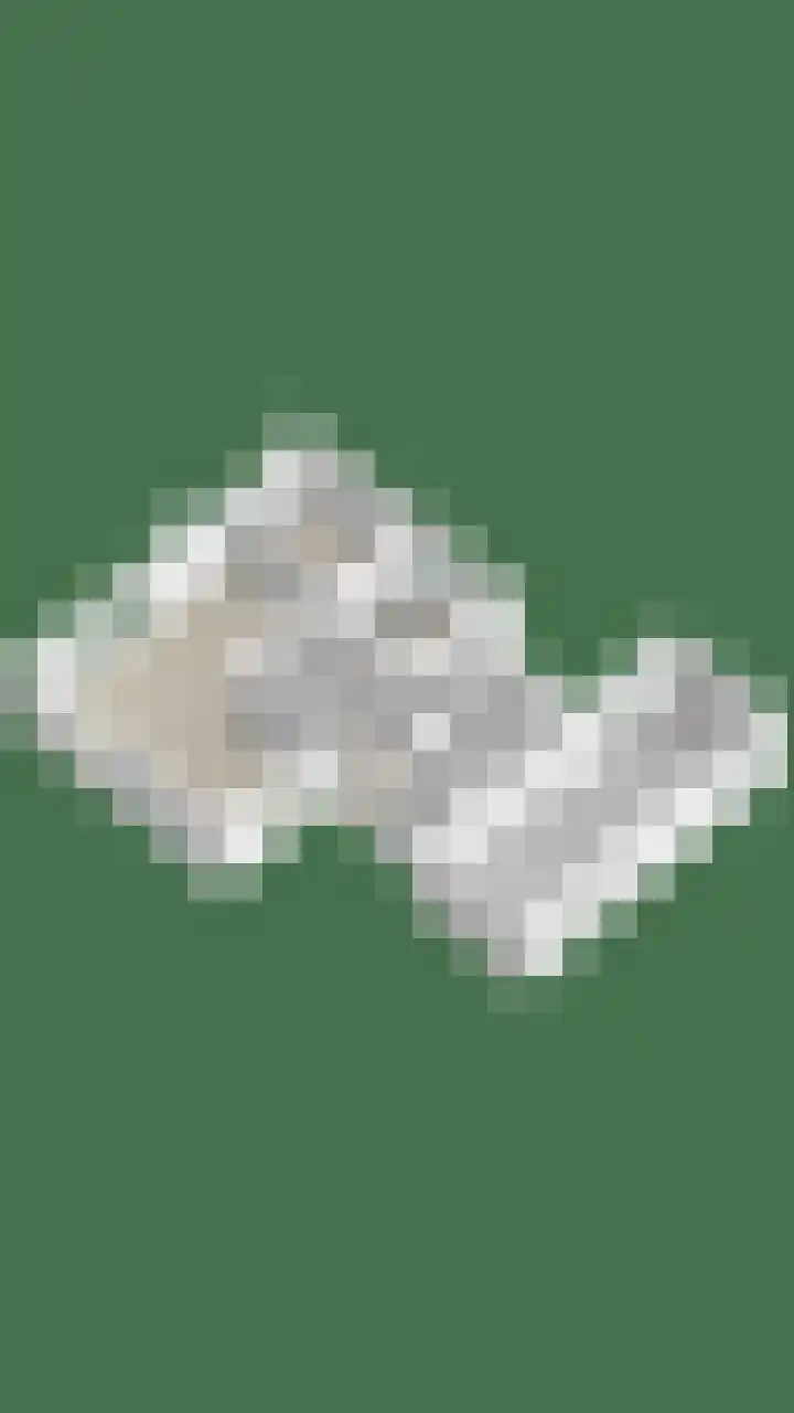 Kolonel Silvertoplaan 2 A Sint Anthonis thumbnail 37