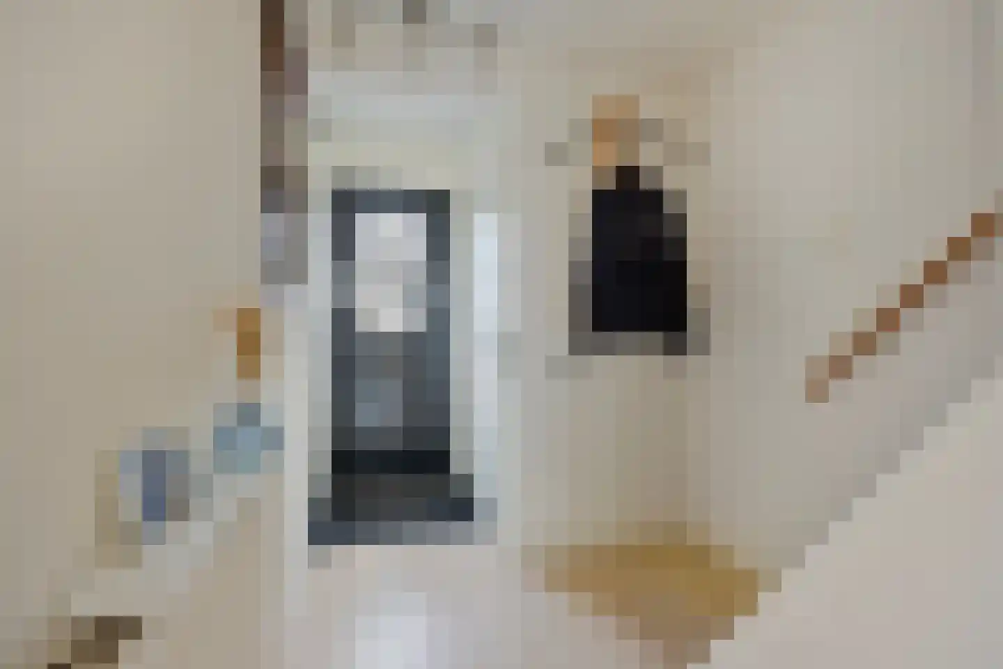 Kolonel Stamfordstraat 9 Hekendorp thumbnail 16