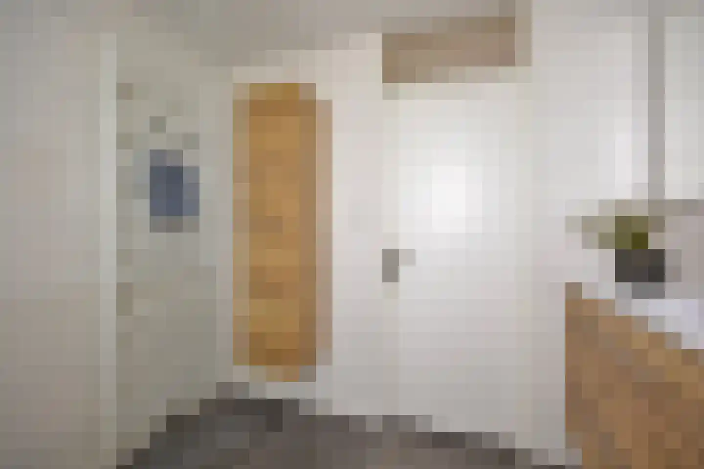 Kolonel Stamfordstraat 9 Hekendorp thumbnail 21