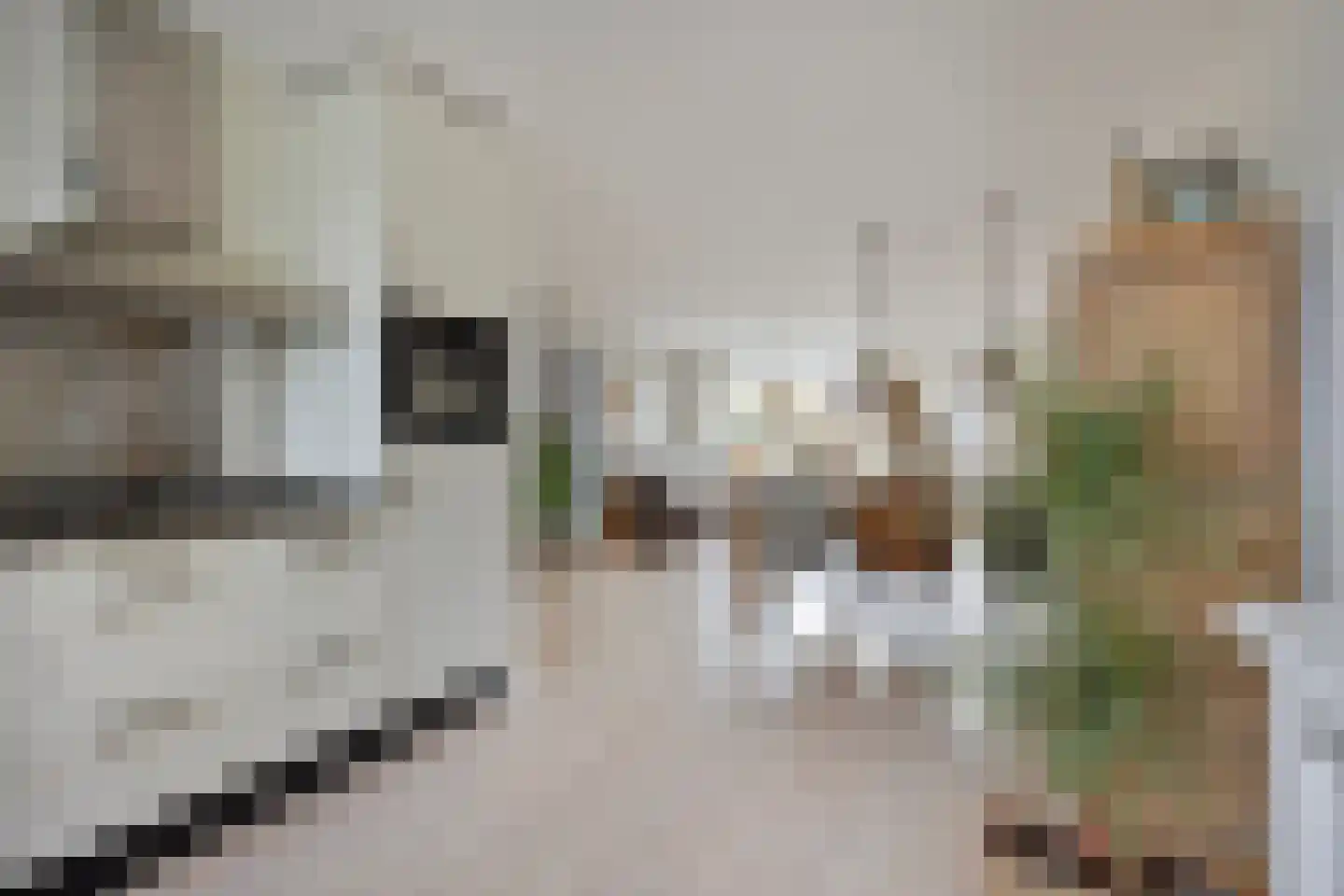 Kolonel Stamfordstraat 9 Hekendorp thumbnail 8