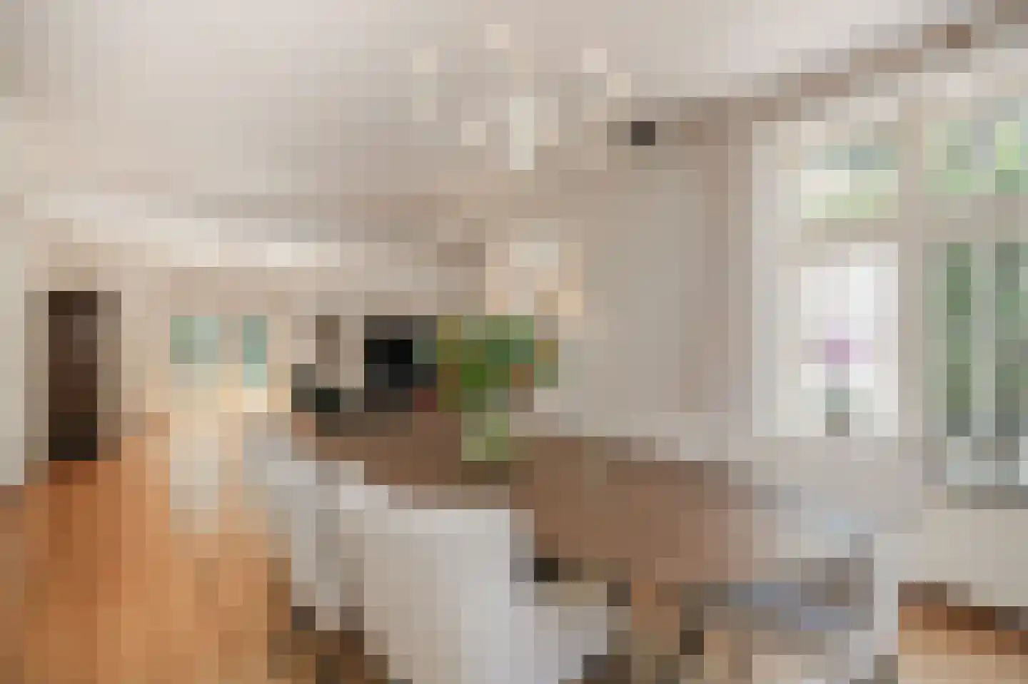 Kolonel Thomsonlaan 14 Vught thumbnail 14