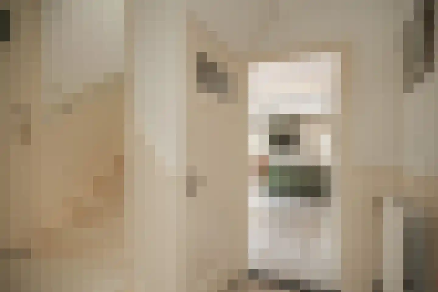 Kolonel Thomsonlaan 14 Vught thumbnail 17