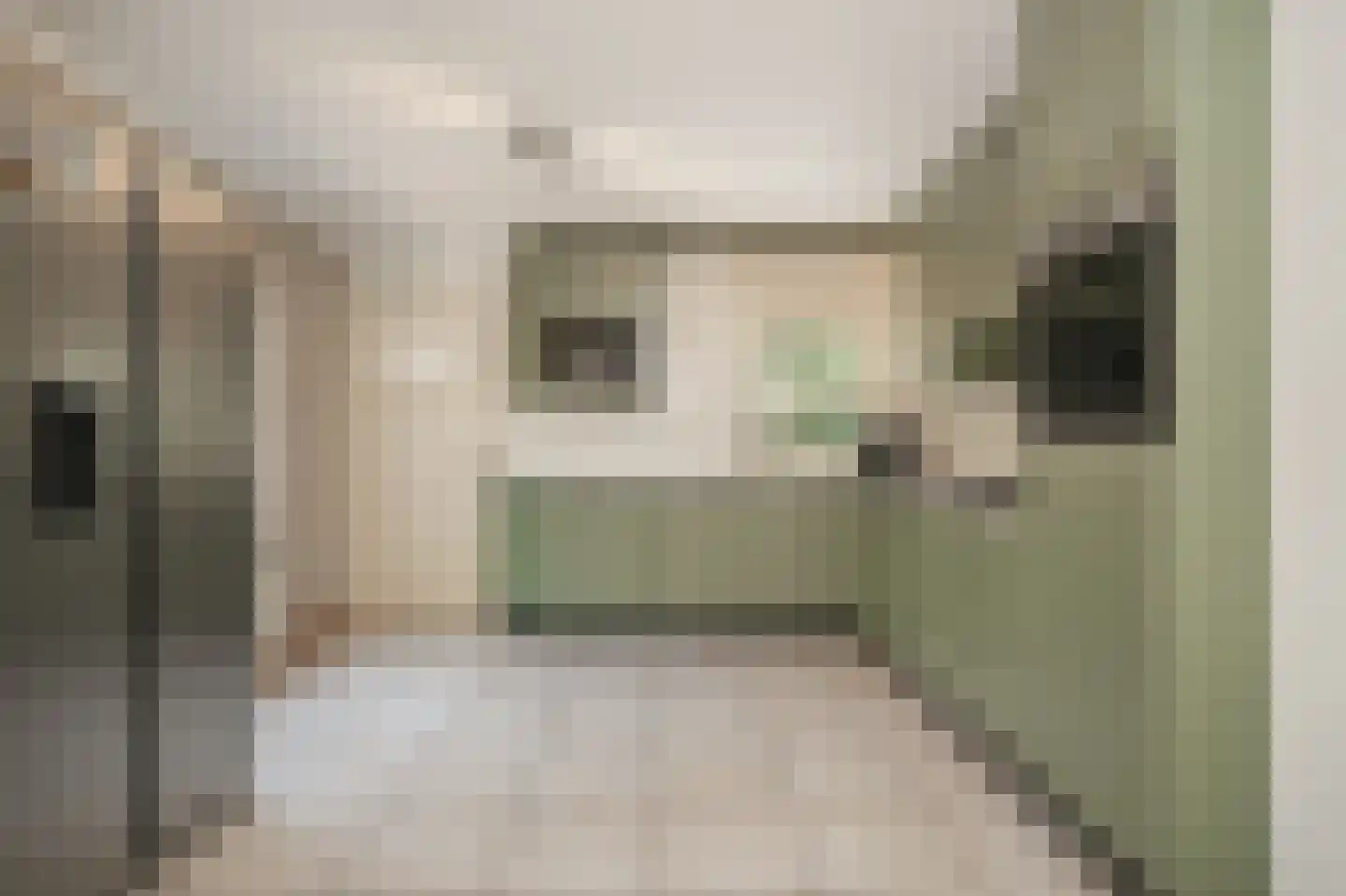Kolonel Thomsonlaan 14 Vught thumbnail 19