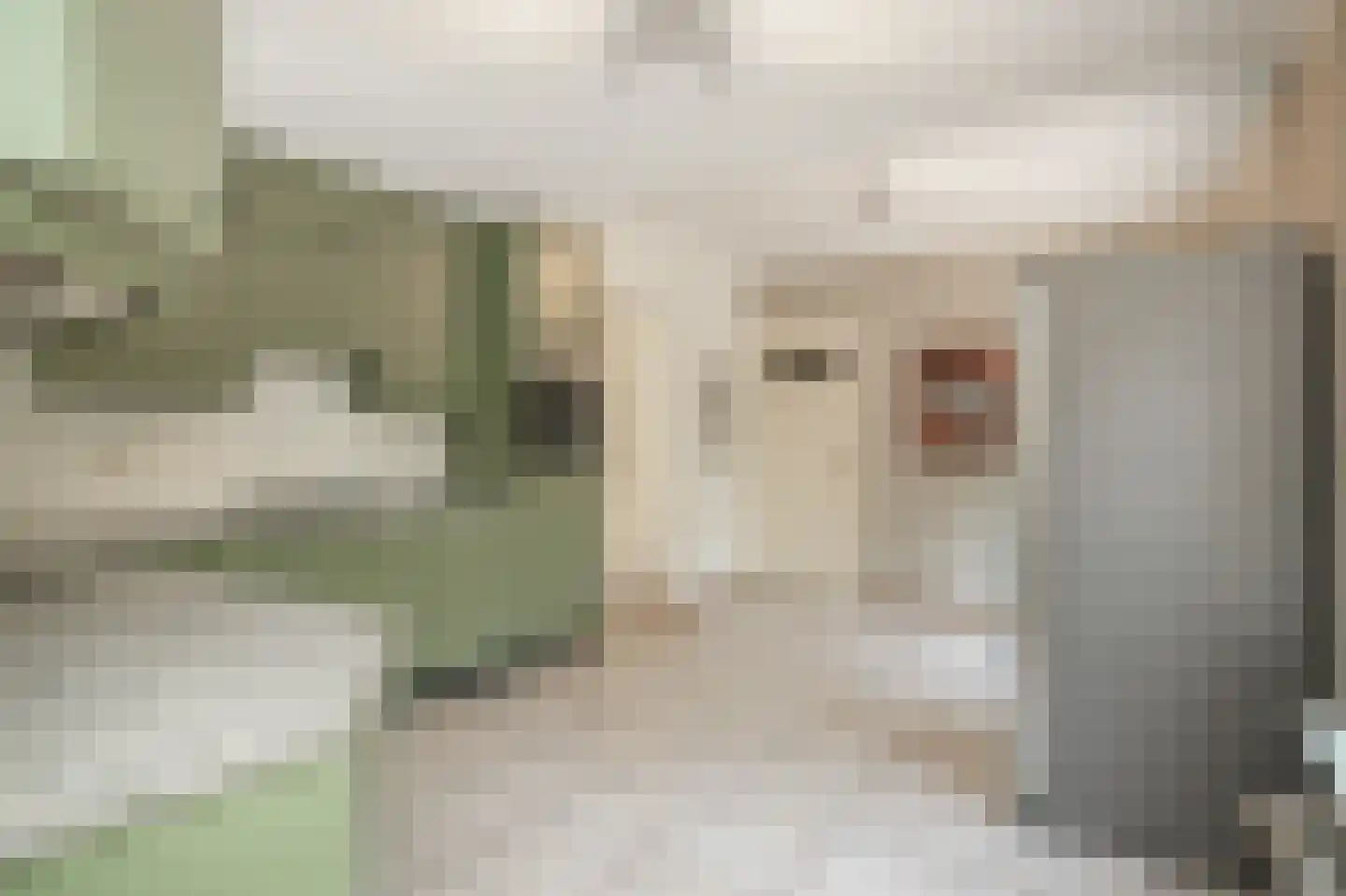 Kolonel Thomsonlaan 14 Vught thumbnail 21