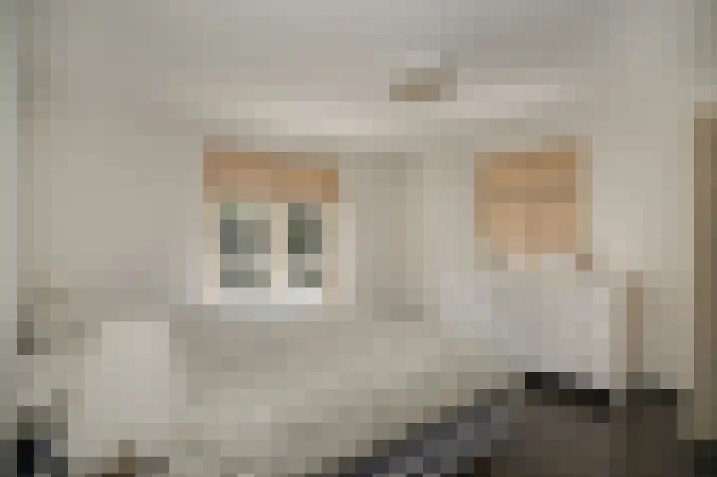 Kolonel Thomsonlaan 14 Vught thumbnail 28