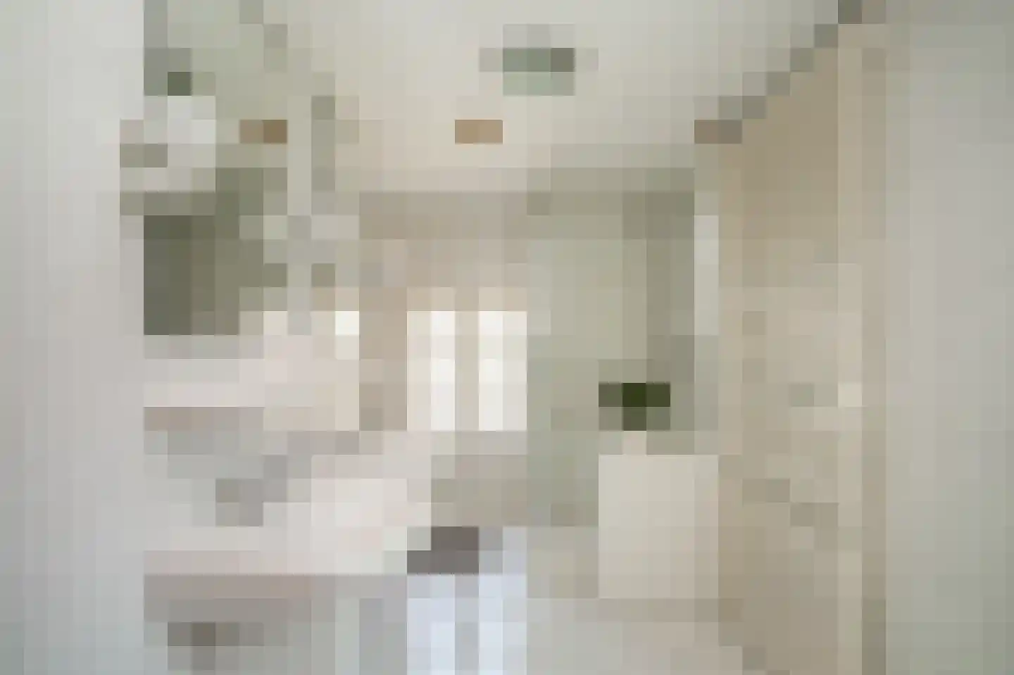 Kolonel Thomsonlaan 14 Vught thumbnail 30