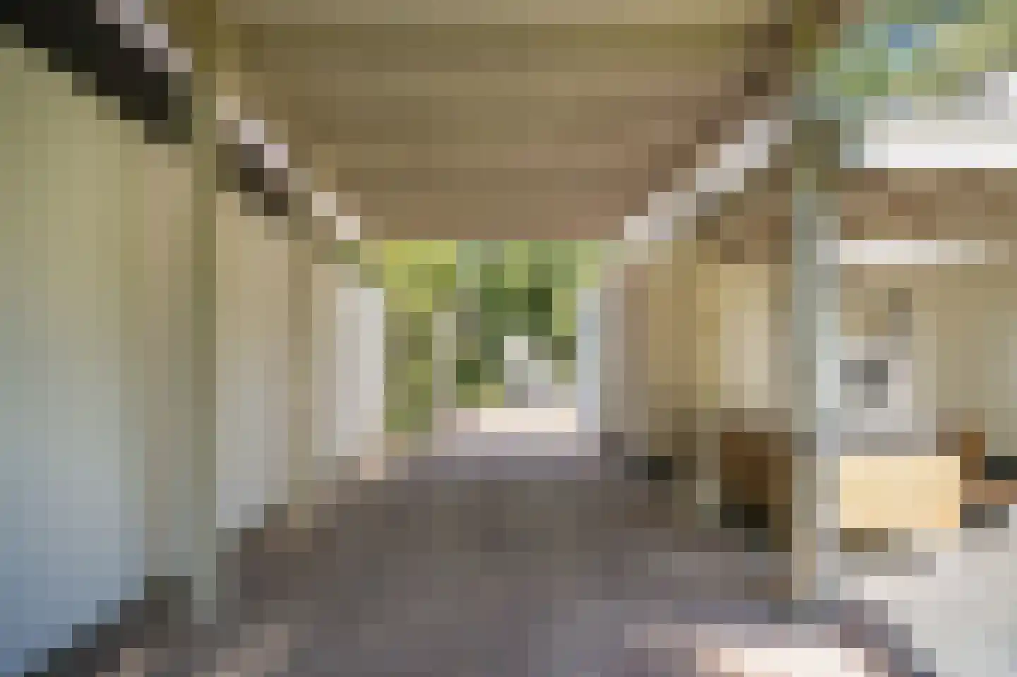Kolonel Thomsonlaan 14 Vught thumbnail 49
