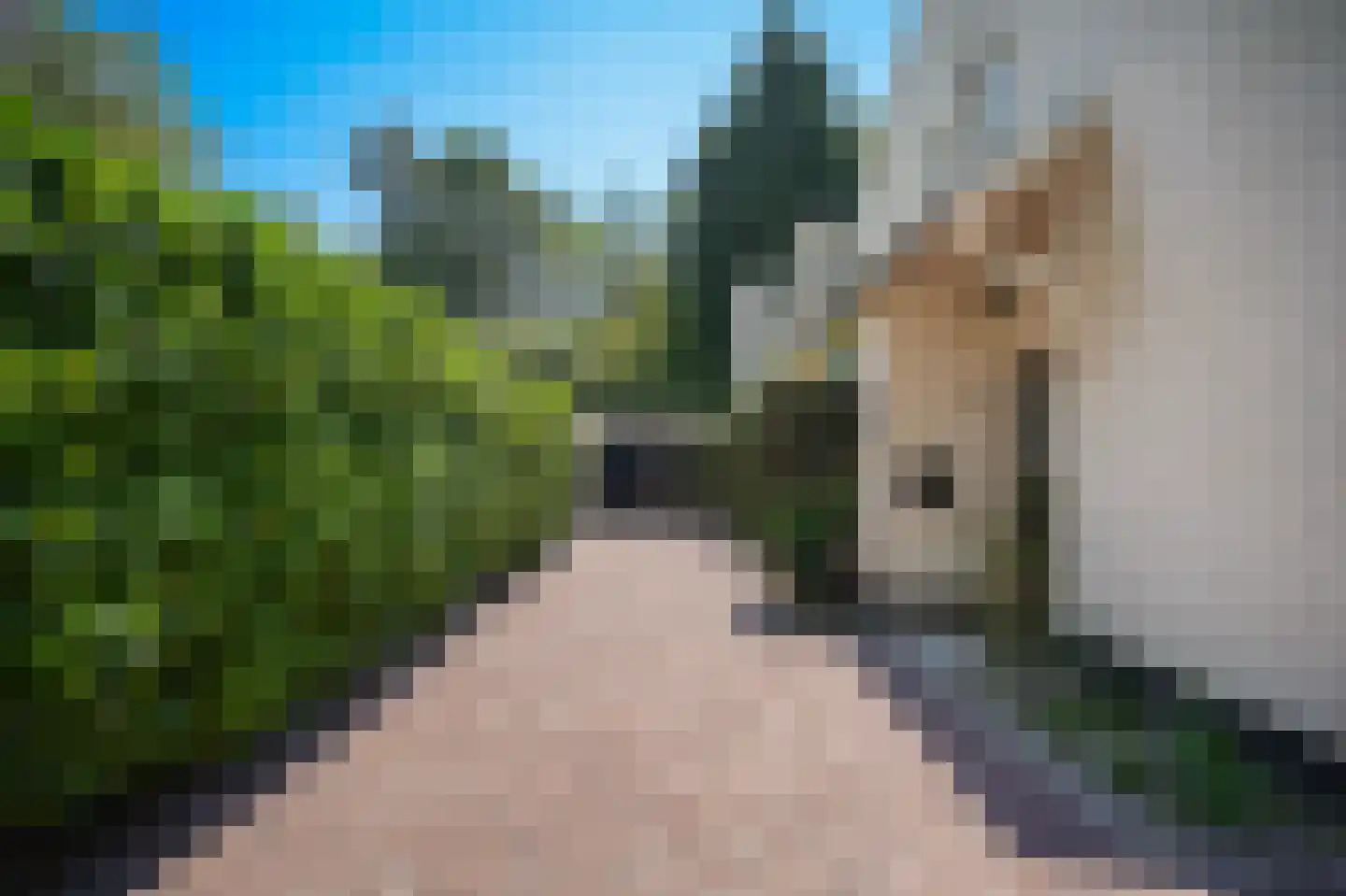 Kolonel Thomsonlaan 14 Vught thumbnail 54
