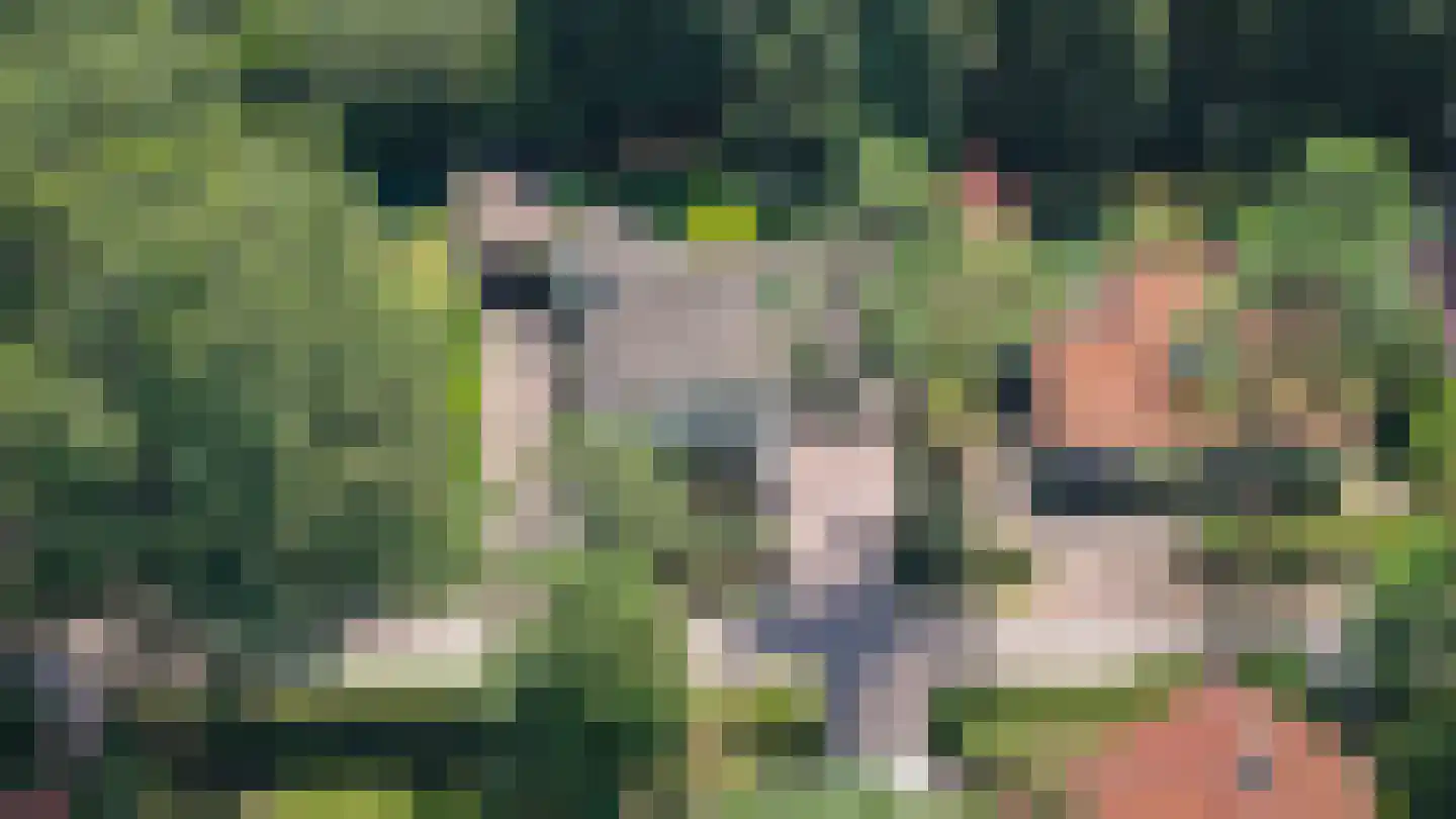 Kolonel Thomsonlaan 14 Vught thumbnail 61