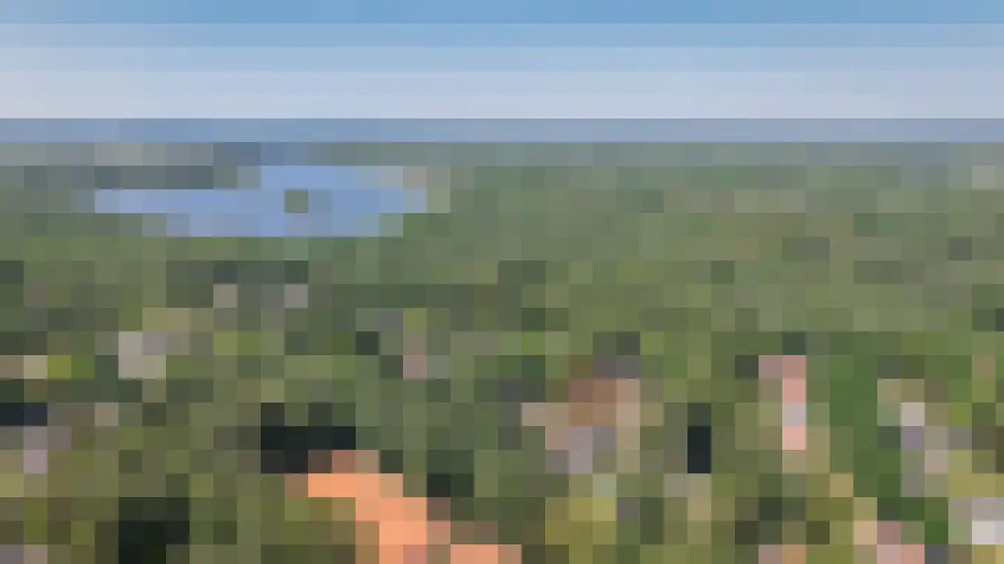 Kolonel Thomsonlaan 14 Vught thumbnail 63