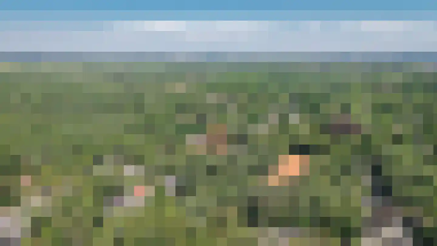 Kolonel Thomsonlaan 14 Vught thumbnail 64