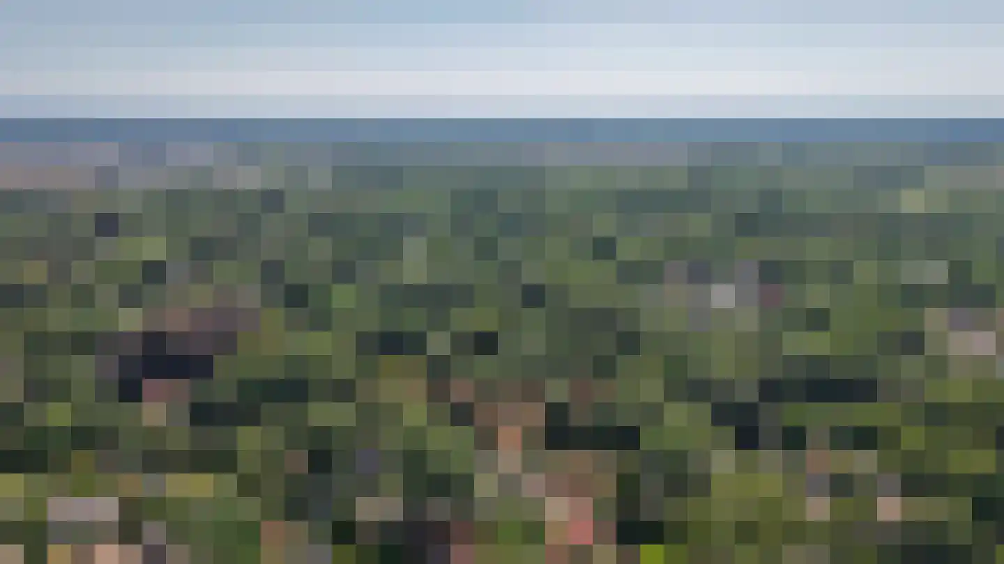 Kolonel Thomsonlaan 14 Vught thumbnail 65