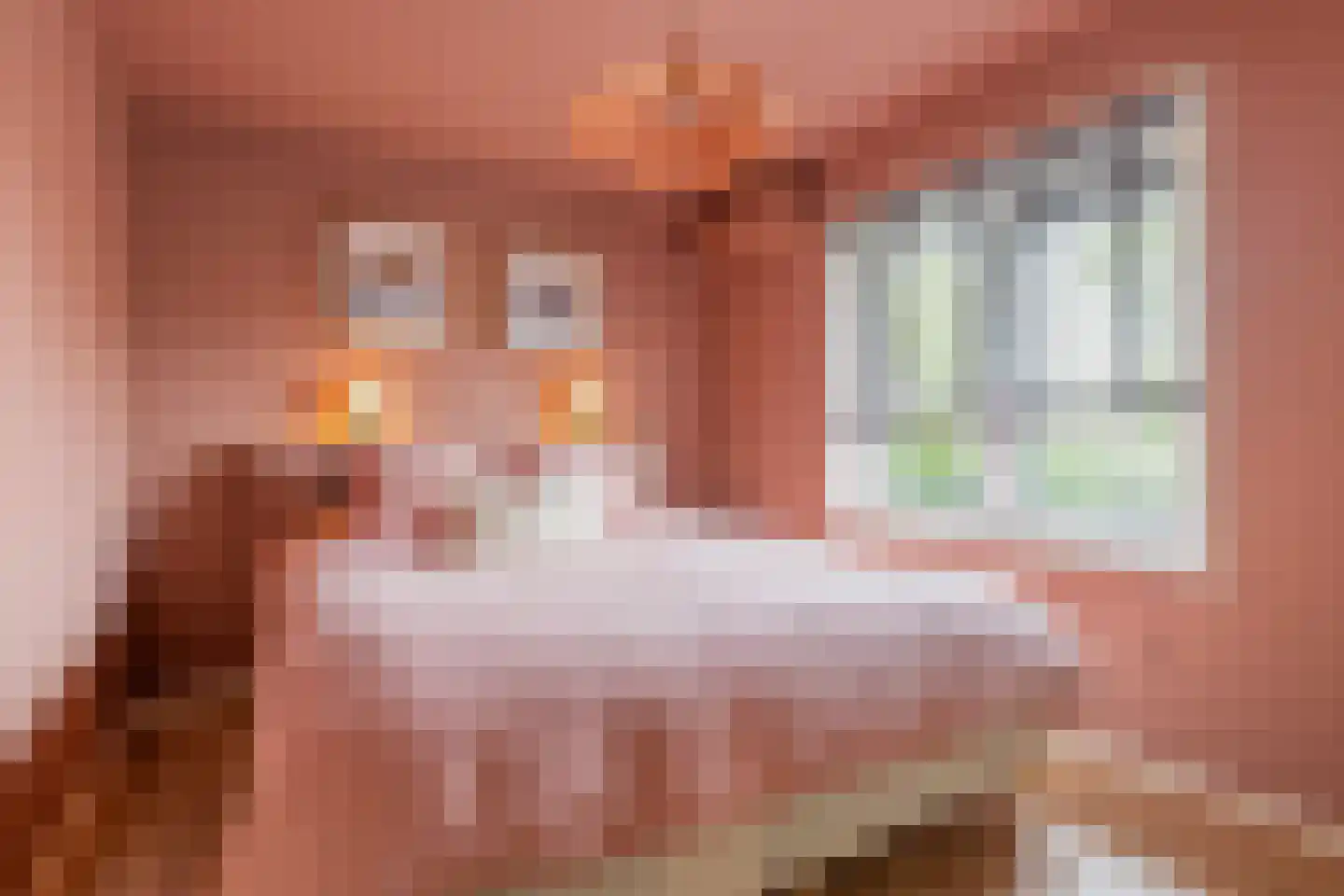 Kolonel van Brienenstraat 6 Naarden thumbnail 20