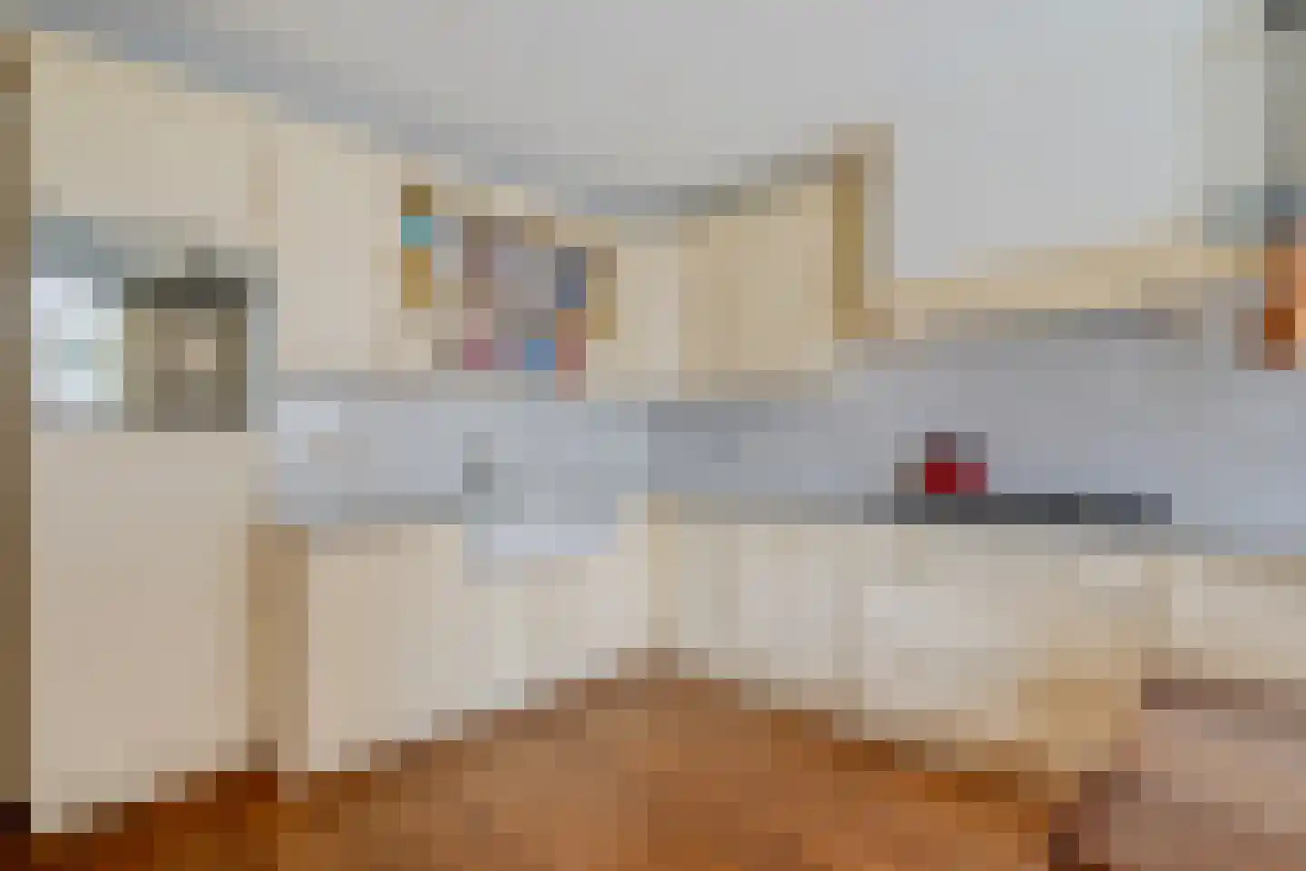Kolonel Wilsstraat 1 Ravenstein thumbnail 26