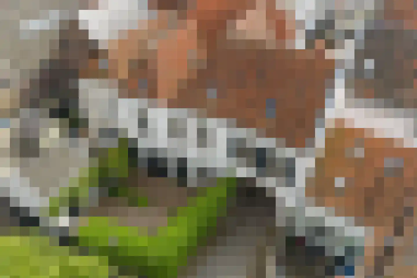 Kolonel Wilsstraat 1 Ravenstein thumbnail 4