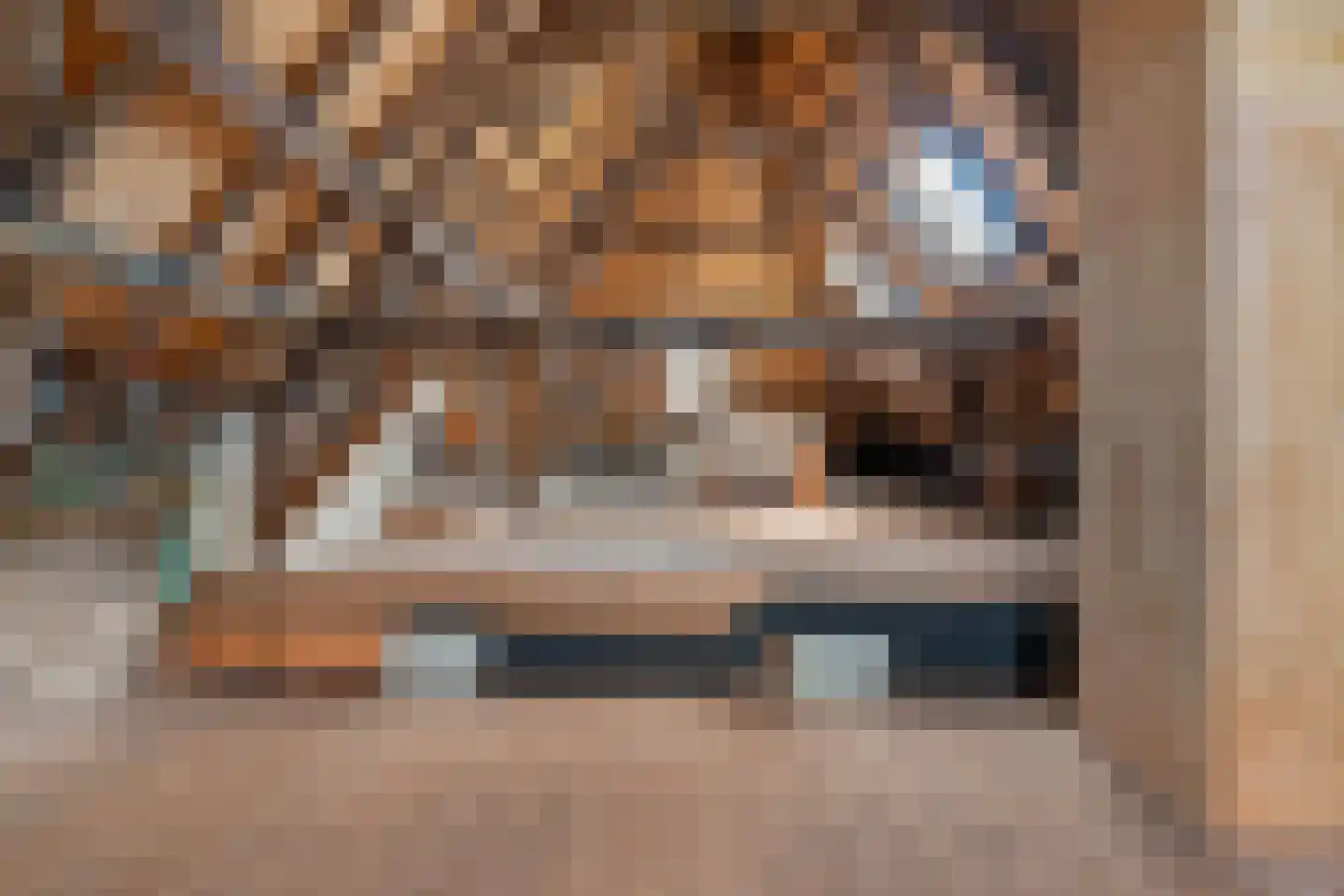 Kolonel Wilsstraat 1 Ravenstein thumbnail 54