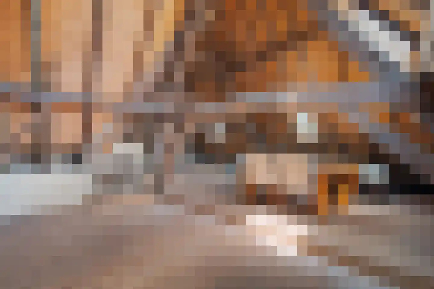 Kolonel Wilsstraat 1 Ravenstein thumbnail 56
