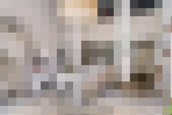 Kolonel Wilsstraat 13 Ravenstein thumbnail 8