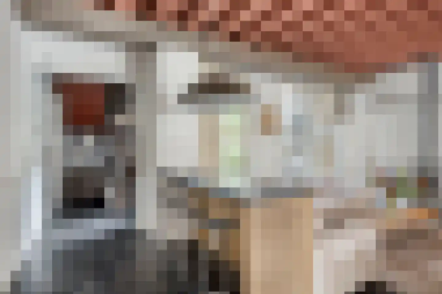 Kolonel Wilsstraat 19 Ravenstein thumbnail 18
