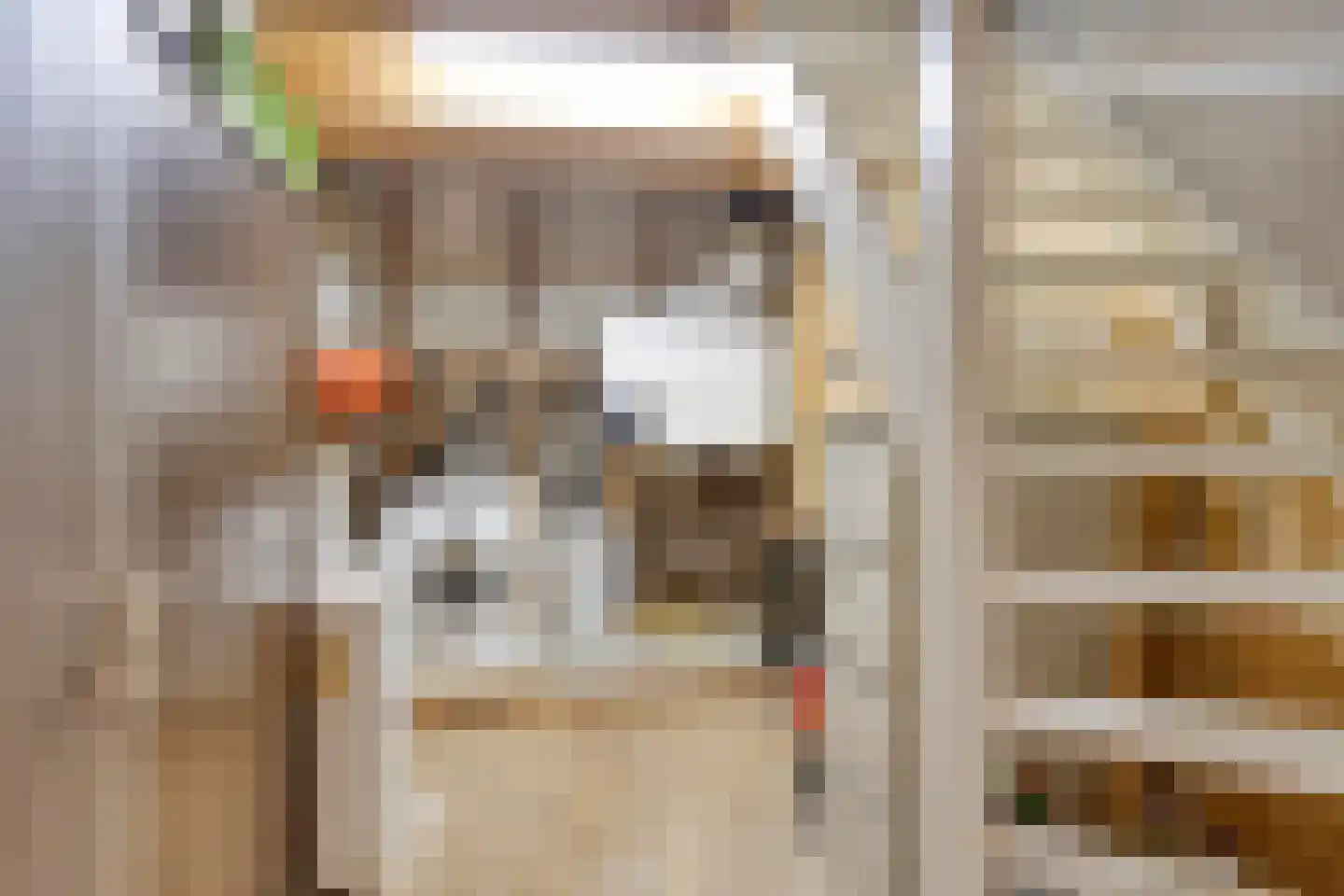 Kolonel Wilsstraat 19 Ravenstein thumbnail 42