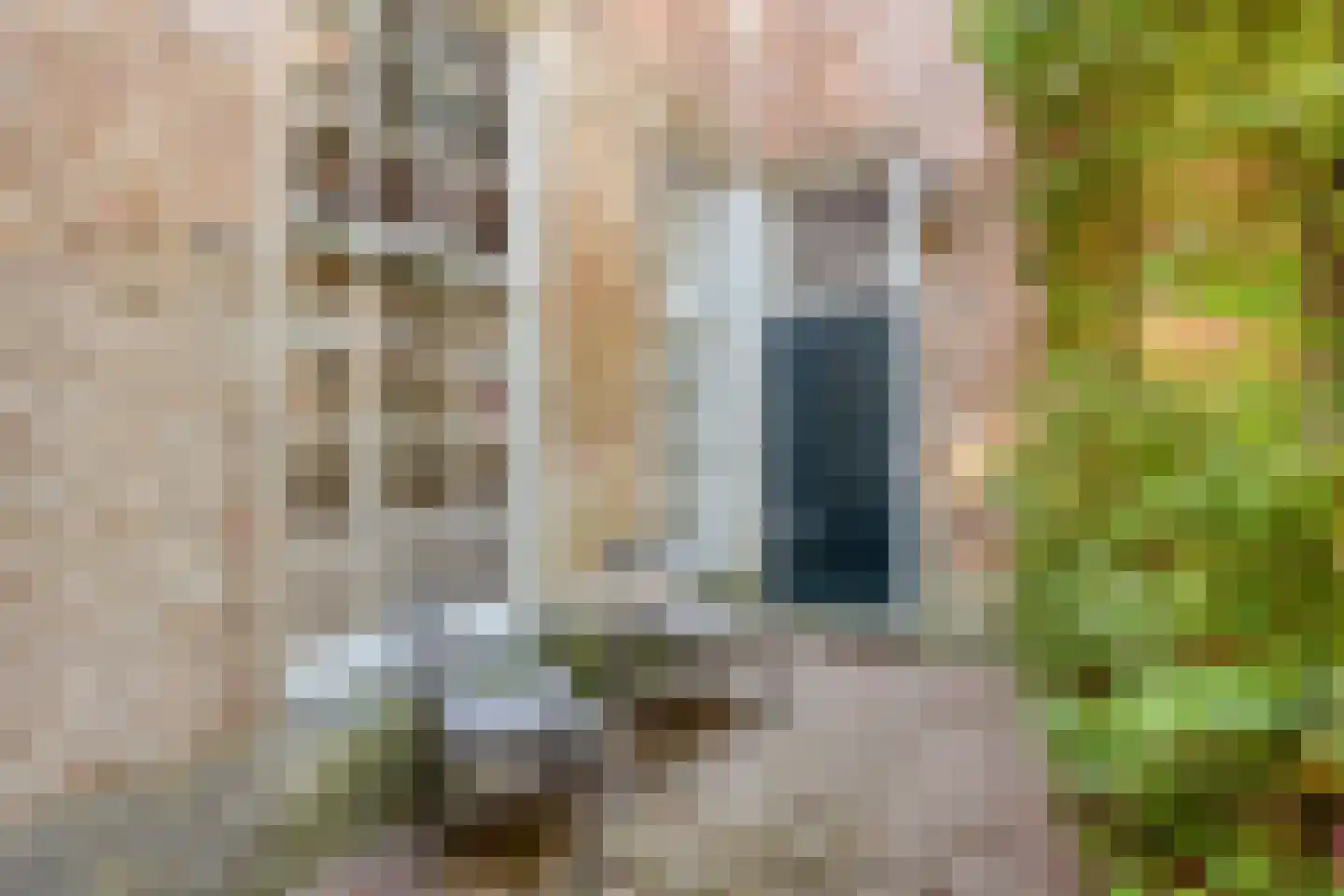Kolonel Wilsstraat 19 Ravenstein thumbnail 48